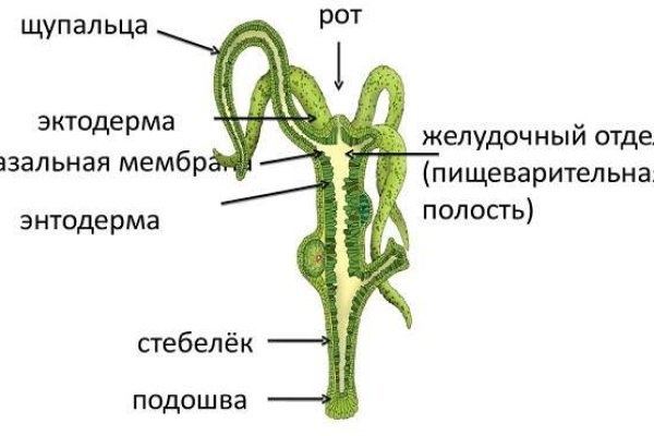 Мега даркнет телеграм